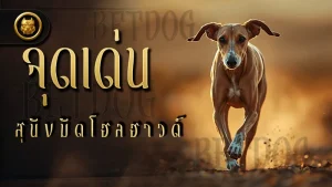 จุดเด่น สุนัขมัดโฮลฮาวด์