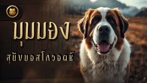 มุมมอง สุนัขมอสโกวอตช์