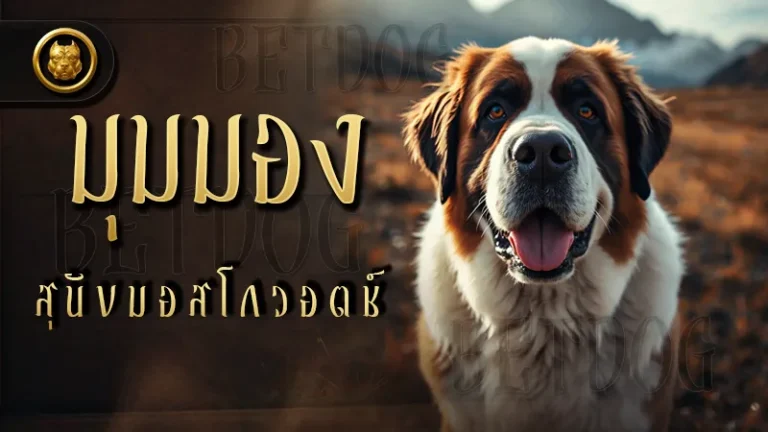 มุมมอง สุนัขมอสโกวอตช์