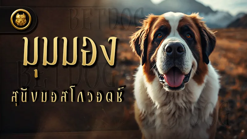มุมมอง สุนัขมอสโกวอตช์