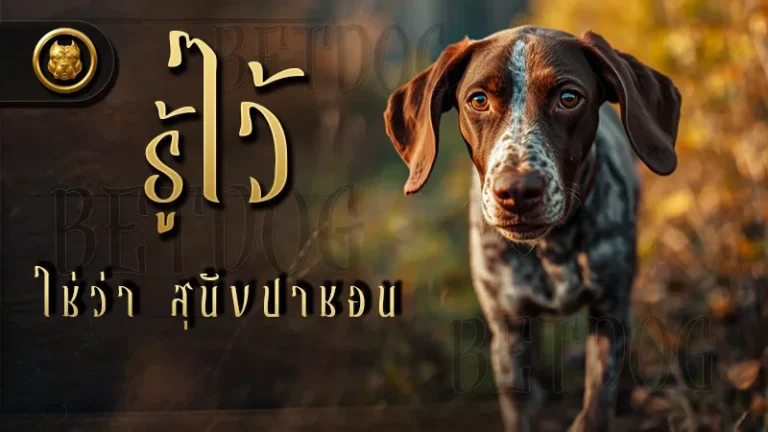 รู้ไว้ ใช่ว่า สุนัขปาชอน