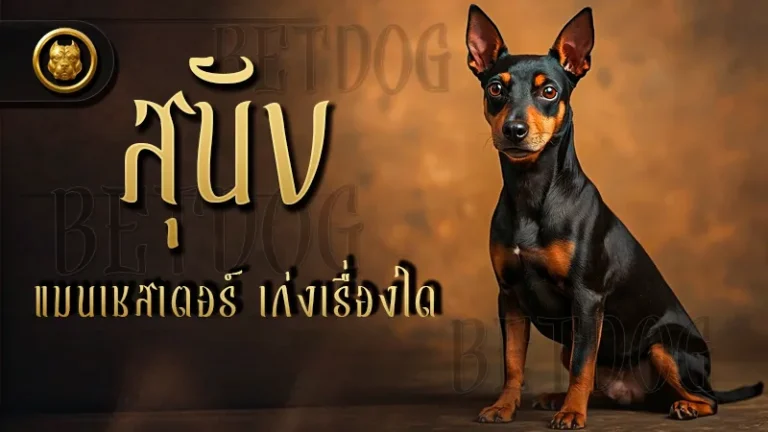 สุนัขแมนเชสเตอร์ เก่งเรื่องใด