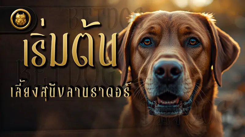 เริ่มต้น เลี้ยงสุนัขลาบราดอร์