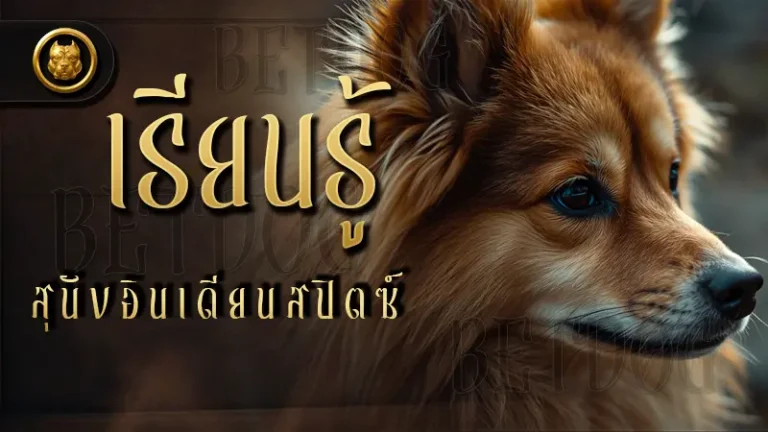 เรียนรู้ สุนัขอินเดียนสปิตซ์