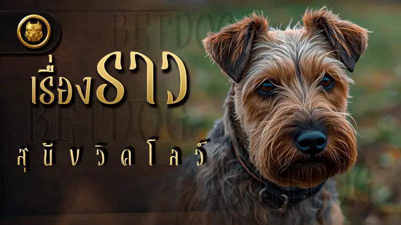 เรื่องราว สุนัขวิคโลว์