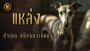 แหล่งกำเนิด สุนัขอิตาเลียน