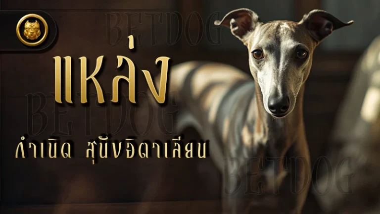 แหล่งกำเนิด สุนัขอิตาเลียน