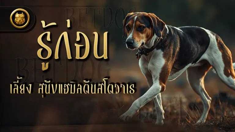 รู้ก่อนเลี้ยง สุนัขแฮมิลตันสโตวาเร