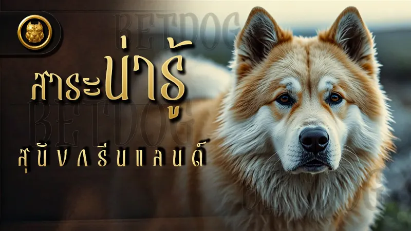 สาระน่ารู้ สุนัขกรีนแลนด์
