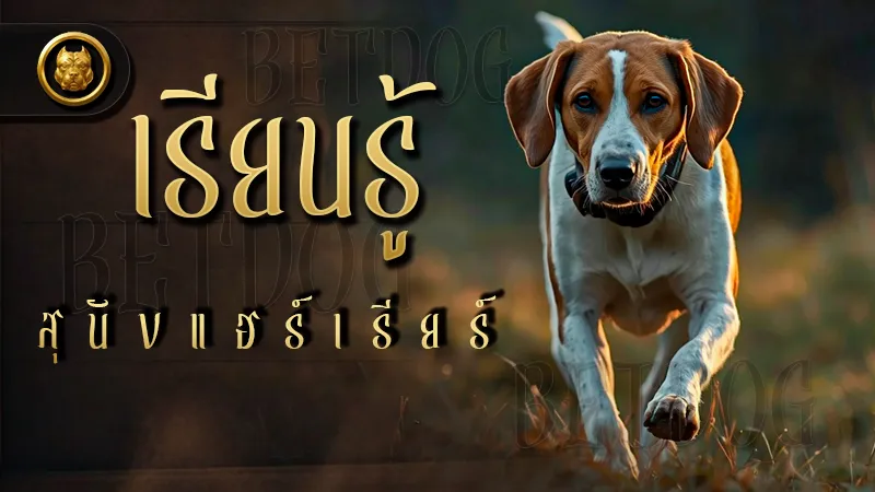 เรียนรู้ สุนัขแฮร์เรียร์
