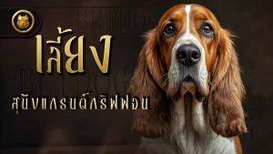 เลี้ยง สุนัขแกรนด์ กริฟฟอน