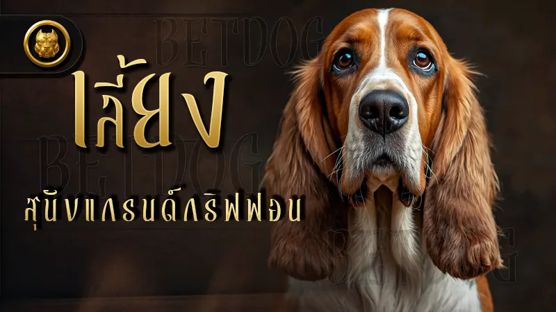 เลี้ยง สุนัขแกรนด์ กริฟฟอน