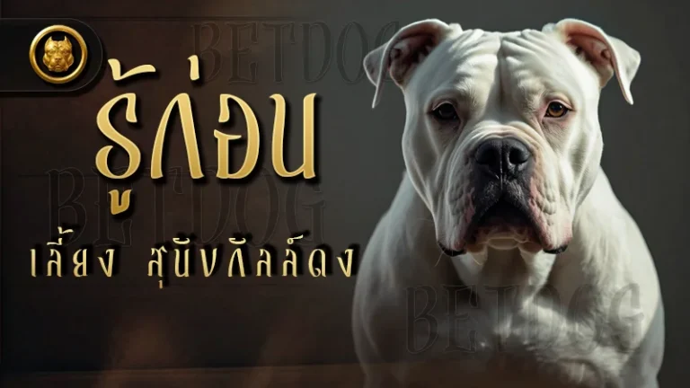 รู้ก่อนเลี้ยง สุนัขกัลล์ดง